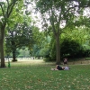 Zdjęcie z Wielkiej Brytanii - królewski park