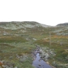 Zdjęcie z Norwegii - 