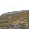 Zdjęcie z Norwegii - 