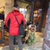 Zdjęcie z Norwegii - Trolle są wszędzie