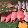 Zdjęcie ze Sri Lanki - Kolacja na plaży w Mirrisie