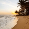 Zdjęcie ze Sri Lanki - 