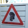 Zdjęcie z Norwegii - 
