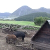 Zdjęcie z Norwegii - 