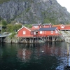 Zdjęcie z Norwegii - 
