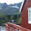 Zdjęcie z Norwegii - 