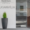 Zdjęcie z Portugalii - nasza nieszczęsna "Buganvilia" 