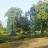 Zdjęcie z Portugalii - posiadłość jest ogromna; zajmuje powierzchnię 15 ha! a park i ogród są