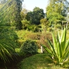 Zdjęcie z Portugalii - Palheiro Gardens nazywane są zamiennie Blandys Gardens