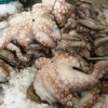 Zdjęcie z Portugalii - skarby z oceanu....