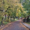 Zdjęcie z Polski - Frombork