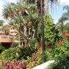 Zdjęcie z Portugalii - na terenie Pestana Miramar Garden Resort