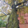 Zdjęcie z Polski - Frombork