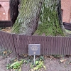 Zdjęcie z Polski - Frombork