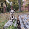 Zdjęcie z Polski - Frombork