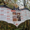Zdjęcie z Bułgarii - w miejscowości Brestnica, w masywie Starej Płaniny znajduje się piękna krasowa jaskinia- znana