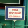 Zdjęcie z Polski - 