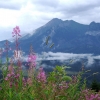 Polska - TATRY - Zakopane, Bukowina Tatrzańska