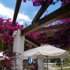 Zdjęcie z Hiszpanii - Nerja