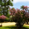 Zdjęcie z Hiszpanii - Jardines de Murillo