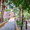 Zdjęcie z Hiszpanii - w Jardim de Marocco