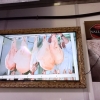 Zdjęcie z Hiszpanii - Jamon Iberico ? to już "wyższa forma szynki"  najwspanialsza i najdroższa;