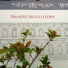 Zdjęcie z Włoch - wspaniała fasada Pallacio del Cellestini - niestety w remoncie