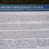 Zdjęcie z Polski - 