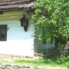 Zdjęcie z Polski - 