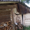 Zdjęcie z Polski - 