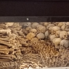 Zdjęcie z Łotwy - kościelne ossuarium