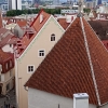 Zdjęcie z Estonii - 