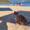 Zdjęcie z Grecji - Plaża Psili Ammos