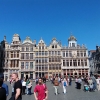 Zdjęcie z Belgii - Bruksela; na rynku Grote-Markt