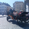 Zdjęcie z Belgii - Bruksela i jej nowoczesne, z napędem elektrycznym dorożki bez konia:))) 