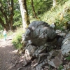Zdjęcie z Czarnogóry - przy ścieżce czai się niedźwiedź