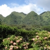 Zdjęcie ze Stanów Zjednoczonych - Hawaje - Oahu