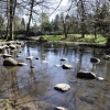 Zdjęcie z Polski - Park w Oliwie