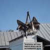 Zdjęcie ze Stanów Zjednoczonych - Key West