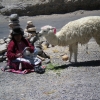 Zdjęcie z Peru - 