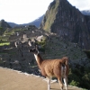 Zdjęcie z Peru - 