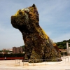 Zdjęcie z Hiszpanii - BILBAO