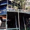 Zdjęcie z Brazylii - W Ariau Jungle Tower