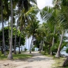 Zdjęcie z Indonezji - Pulau Pelangi