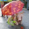 Zdjęcie z Grecji - 