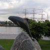Zdjęcie z Polski - Gdynia
