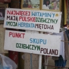 Zdjęcie z Tunezji - 