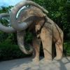 Zdjęcie z Hiszpanii - Mamut w Parku Ciudadela