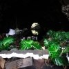Zdjęcie z Hiszpanii - Jameos del Aqua