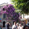 Zdjęcie z Francji - Italy La Garda